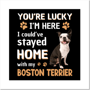 Lucky Have Home With My Boston Terrier Dog Posters and Art